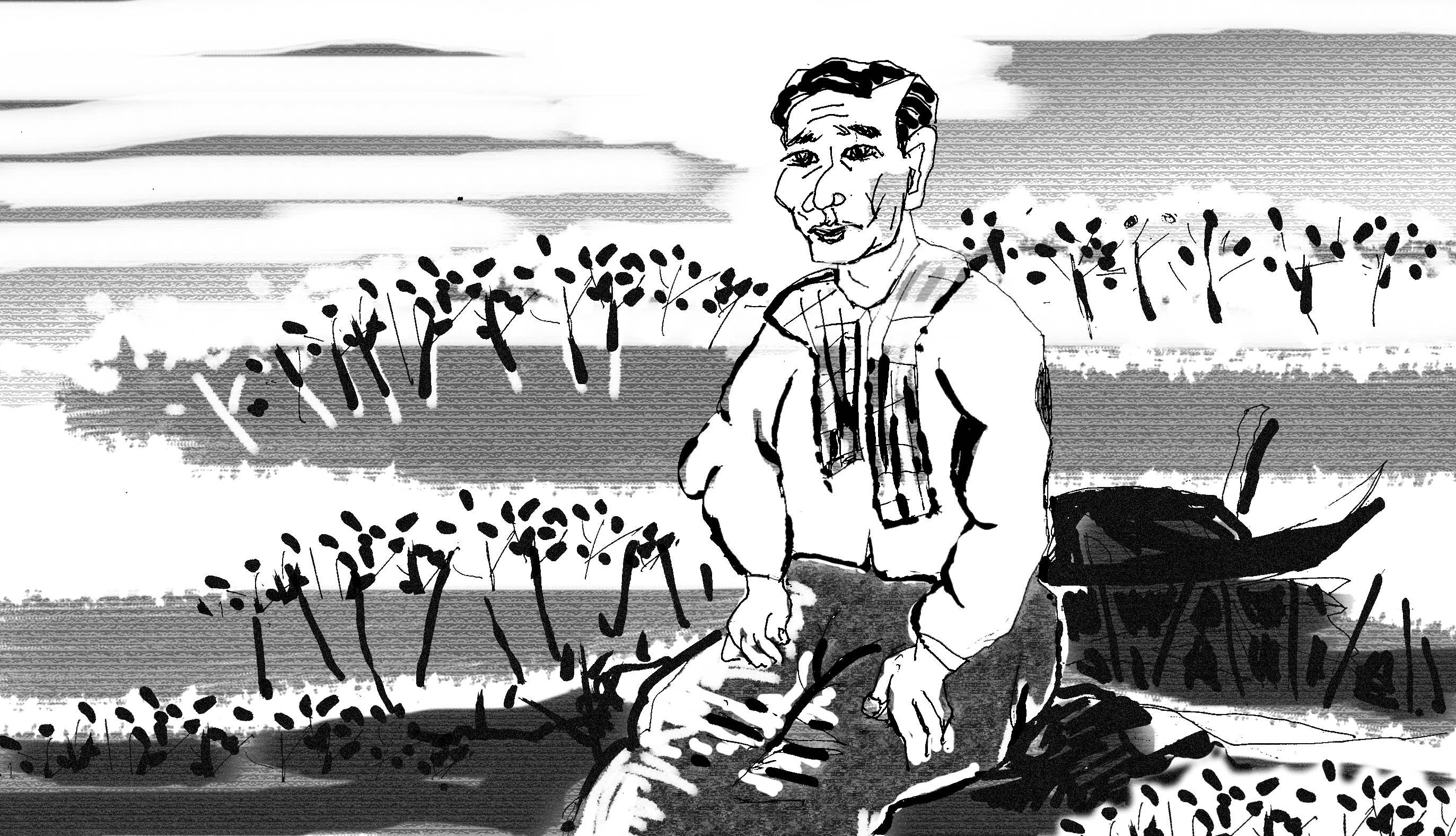 Ký ức trổ bông